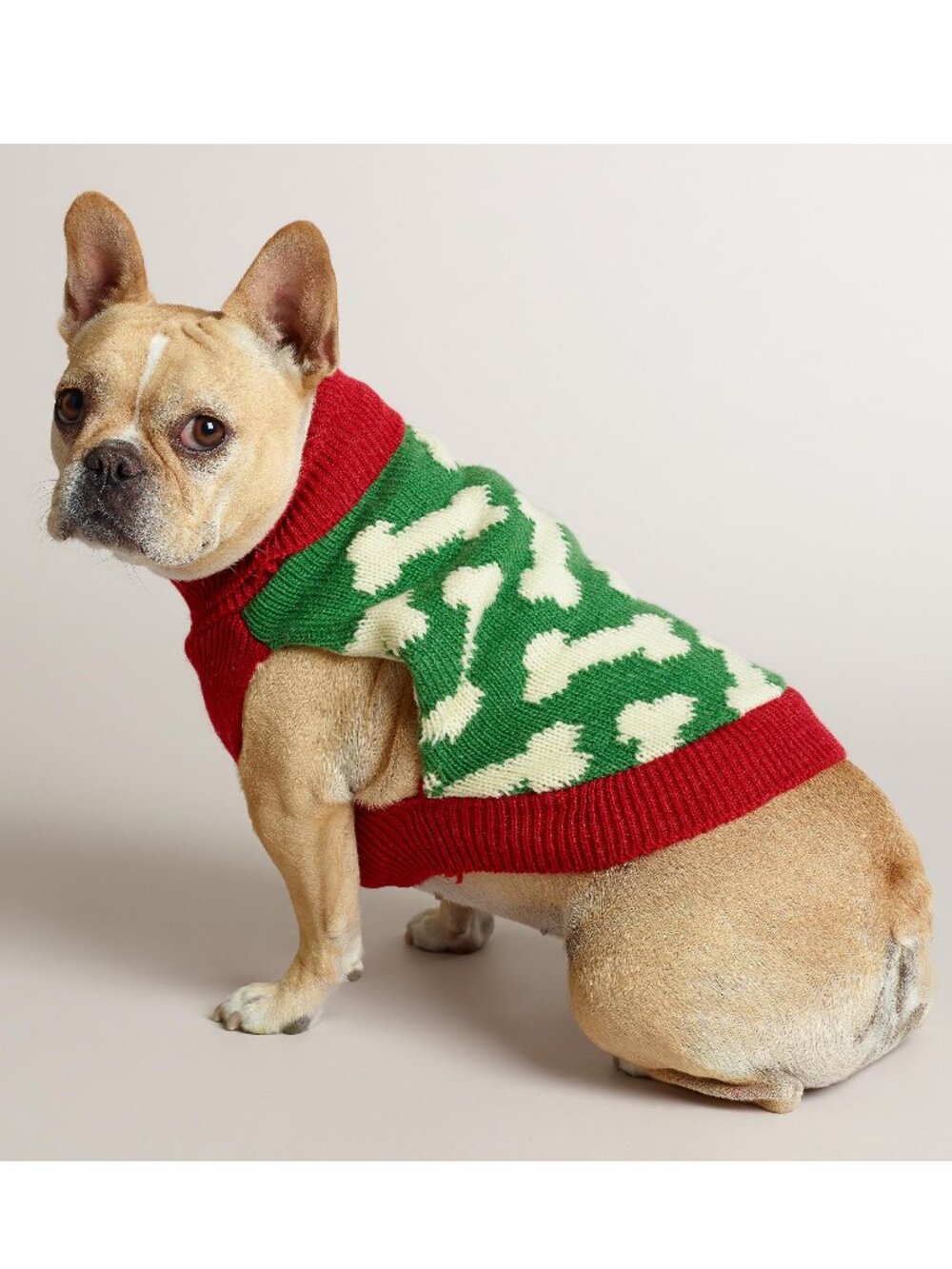 NWT size SMALL dog NEW sweater WORLD MARKET knit pet green red bone cute warm